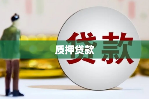 砀山质押贷款
