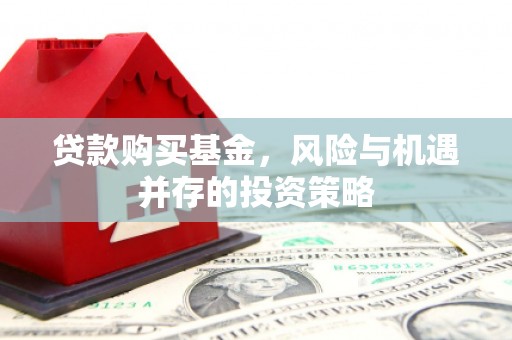 砀山贷款购买基金，风险与机遇并存的投资策略