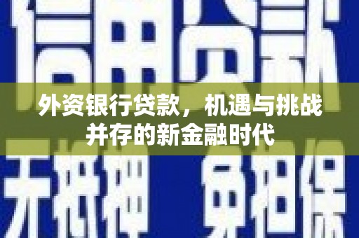 砀山外资银行贷款，机遇与挑战并存的新金融时代