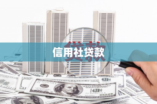 砀山信用社贷款