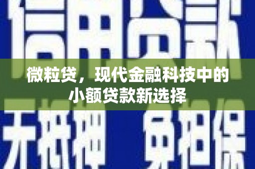 砀山微粒贷，现代金融科技中的小额贷款新选择