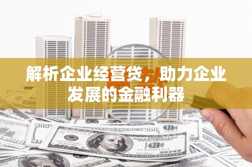 砀山解析企业经营贷，助力企业发展的金融利器