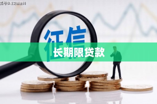 砀山长期限贷款