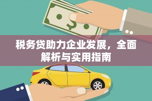 砀山税务贷助力企业发展，全面解析与实用指南