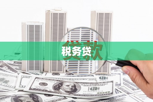 砀山税务贷
