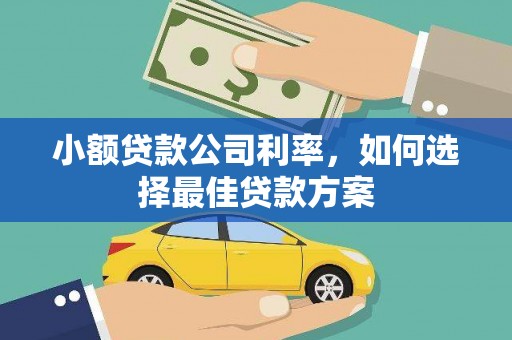 砀山小额贷款公司利率，如何选择最佳贷款方案