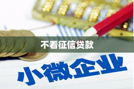 砀山不看征信贷款