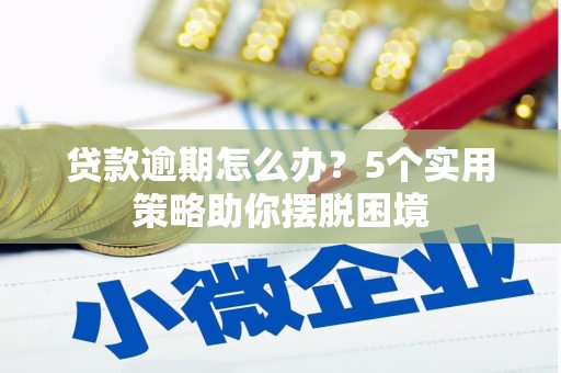 砀山贷款逾期怎么办？5个实用策略助你摆脱困境