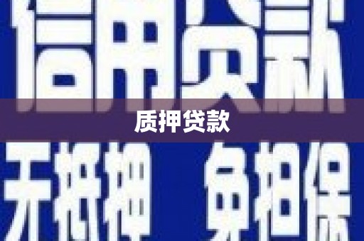 砀山质押贷款