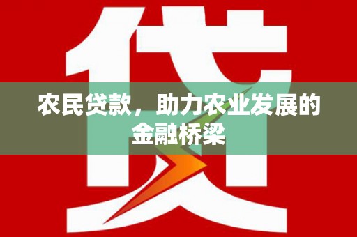 砀山农民贷款，助力农业发展的金融桥梁