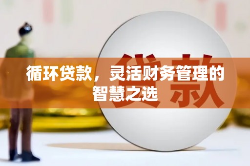 砀山循环贷款，灵活财务管理的智慧之选