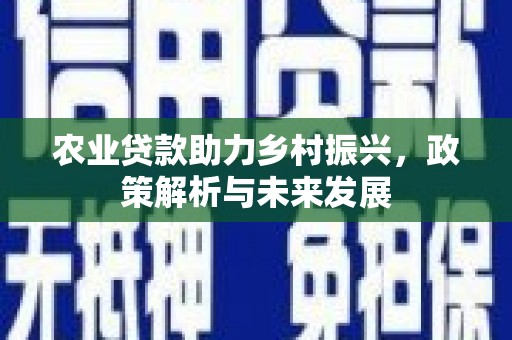 砀山农业贷款助力乡村振兴，政策解析与未来发展