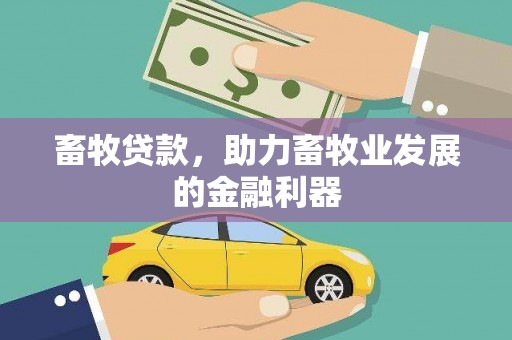 砀山畜牧贷款，助力畜牧业发展的金融利器