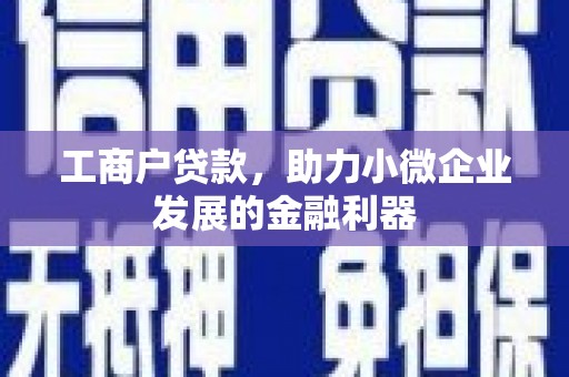 砀山工商户贷款，助力小微企业发展的金融利器