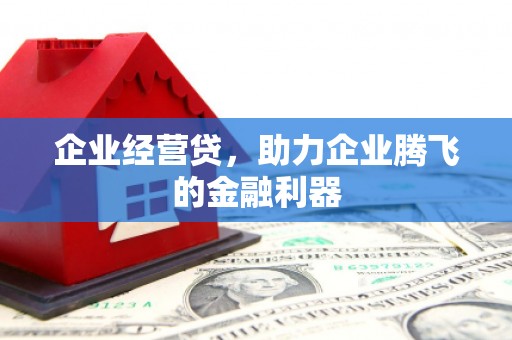 砀山企业经营贷，助力企业腾飞的金融利器