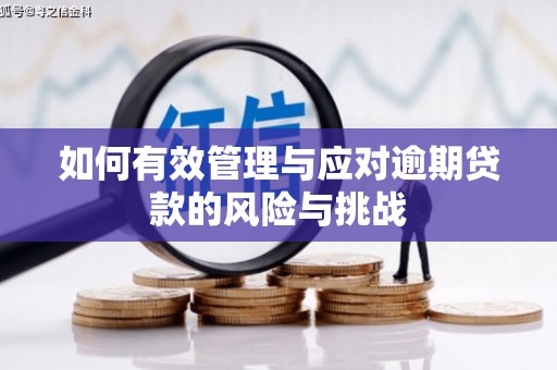 砀山如何有效管理与应对逾期贷款的风险与挑战
