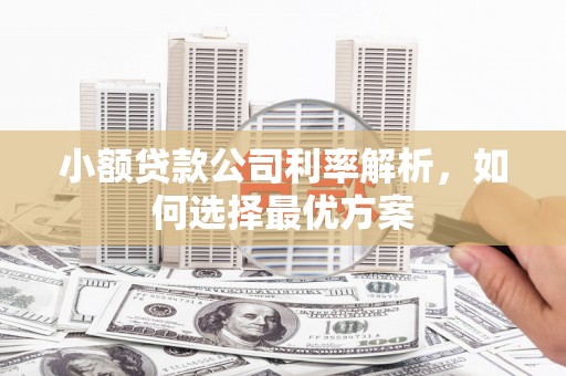 砀山小额贷款公司利率解析，如何选择最优方案