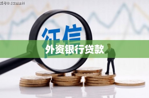 砀山外资银行贷款