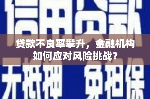 砀山贷款不良率攀升，金融机构如何应对风险挑战？