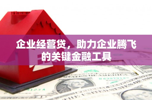 砀山企业经营贷，助力企业腾飞的关键金融工具