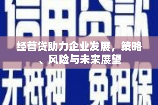 砀山经营贷助力企业发展，策略、风险与未来展望