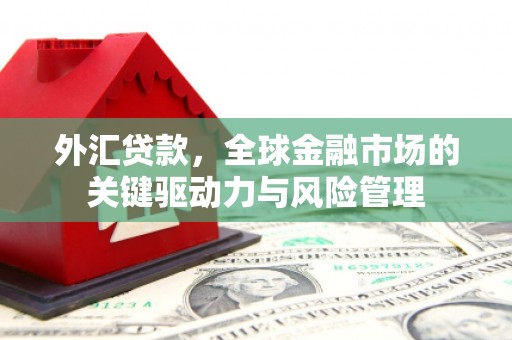 砀山外汇贷款，全球金融市场的关键驱动力与风险管理
