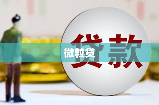 砀山微粒贷