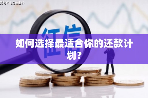 砀山如何选择最适合你的还款计划？
