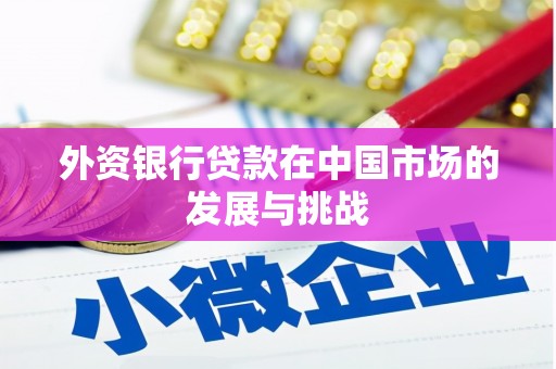 砀山外资银行贷款在中国市场的发展与挑战