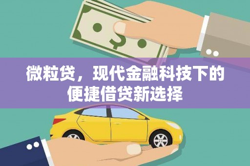 砀山微粒贷，现代金融科技下的便捷借贷新选择