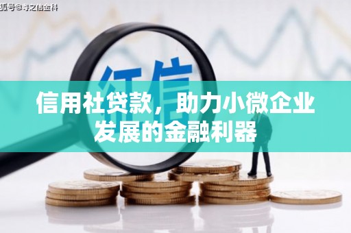砀山信用社贷款，助力小微企业发展的金融利器