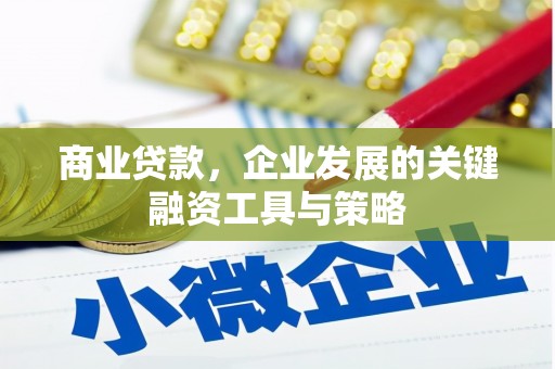砀山商业贷款，企业发展的关键融资工具与策略