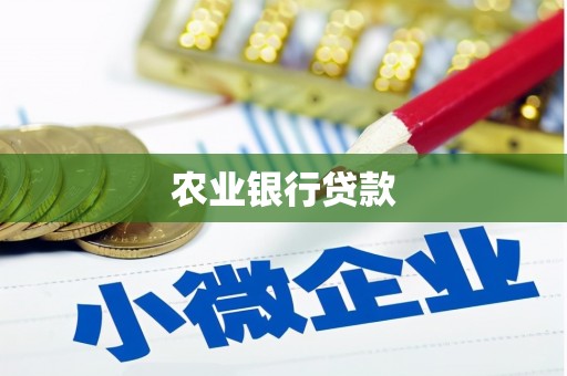 砀山农业银行贷款