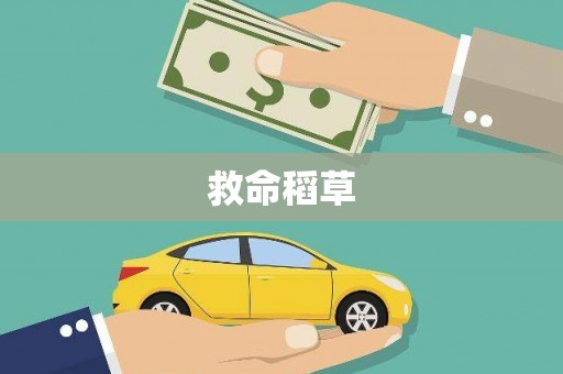 砀山救命稻草