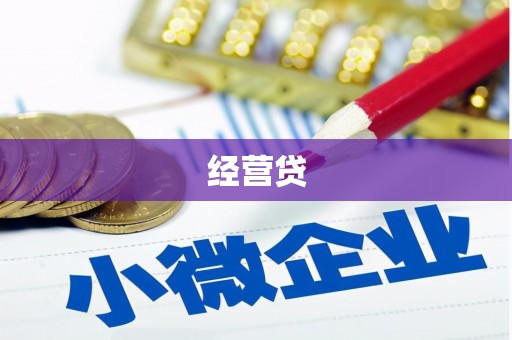 砀山经营贷