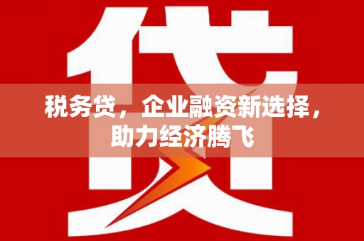 砀山税务贷，企业融资新选择，助力经济腾飞