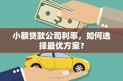 砀山小额贷款公司利率，如何选择最优方案？