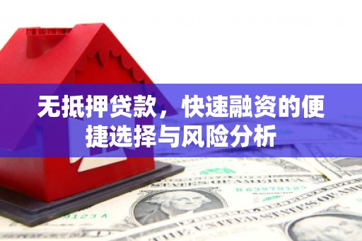 砀山无抵押贷款，快速融资的便捷选择与风险分析