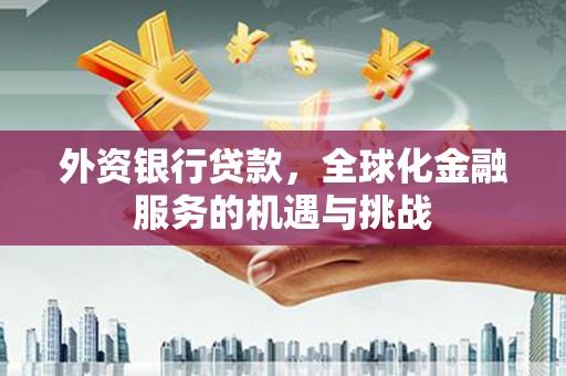 砀山外资银行贷款，全球化金融服务的机遇与挑战