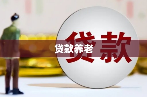 砀山贷款养老