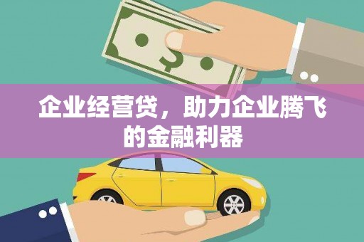 砀山企业经营贷，助力企业腾飞的金融利器