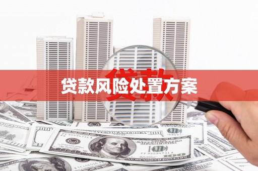 砀山贷款风险处置方案