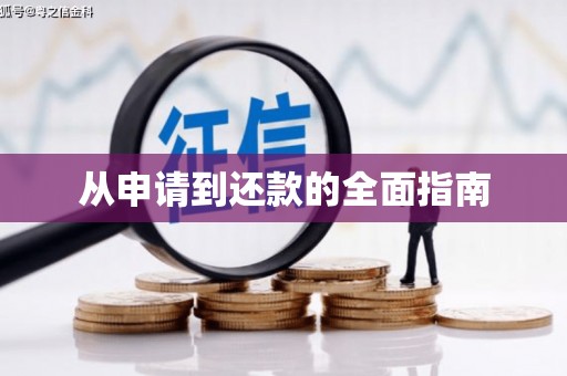 砀山从申请到还款的全面指南