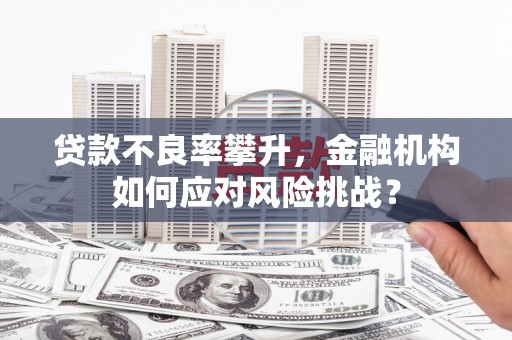 砀山贷款不良率攀升，金融机构如何应对风险挑战？