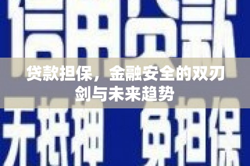 砀山贷款担保，金融安全的双刃剑与未来趋势