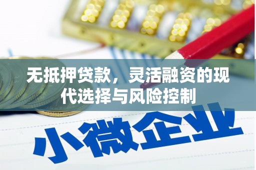 砀山无抵押贷款，灵活融资的现代选择与风险控制