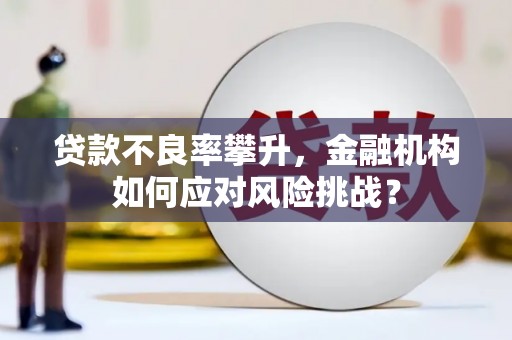 砀山贷款不良率攀升，金融机构如何应对风险挑战？