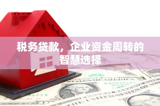 砀山税务贷款，企业资金周转的智慧选择