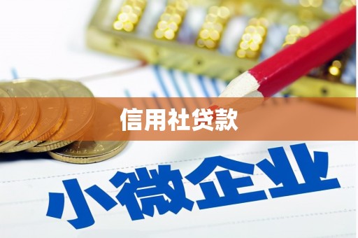 砀山信用社贷款