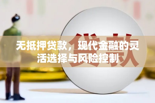 砀山无抵押贷款，现代金融的灵活选择与风险控制
